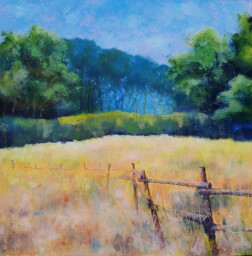 Zarostlá pastvina 50x50